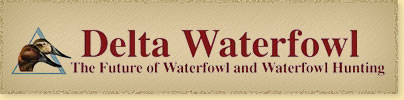 deltawaterfowl